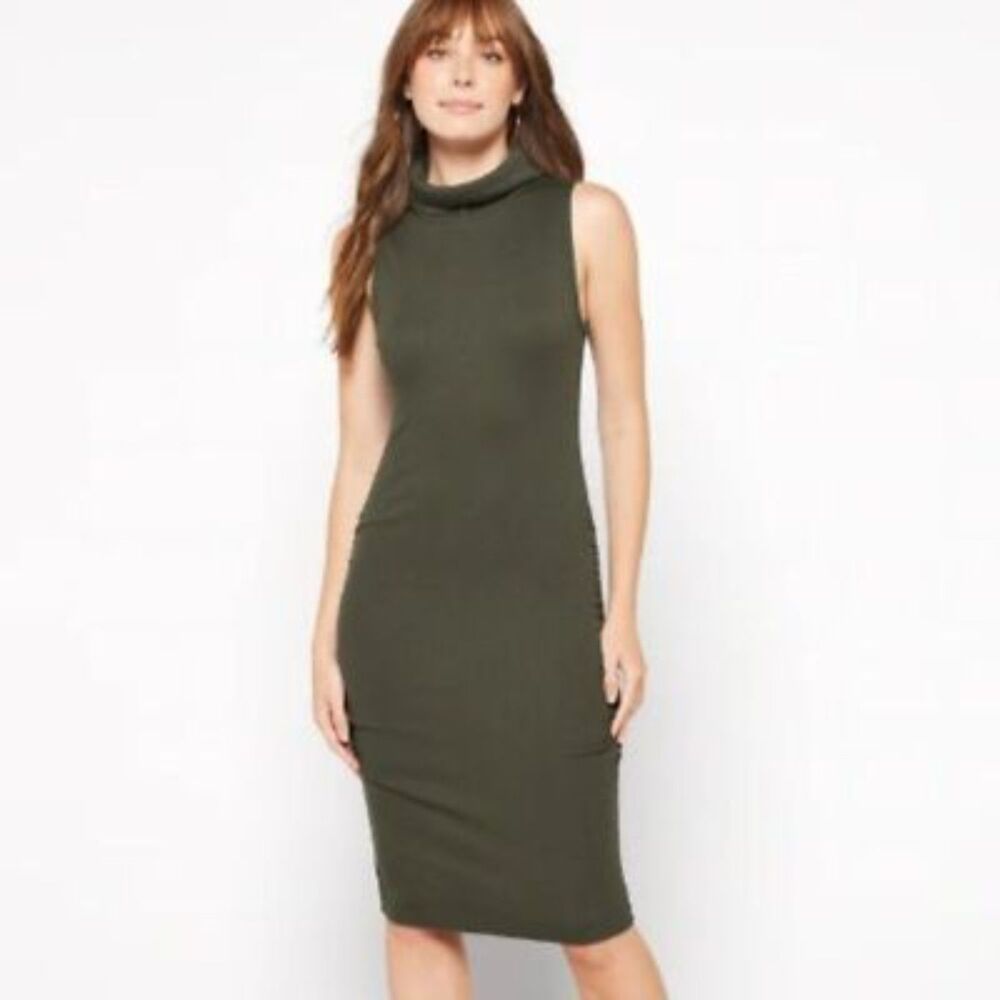 Michael Stars Macy Sleeveless Ultra Rib Turtleneck Dress in Tarragon | Size L